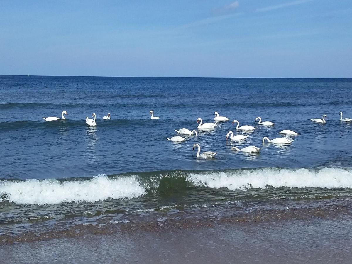 Sea & You Apartament Z Widokiem Na Morze - Dwie Sosny Устроне-Морське Екстер'єр фото